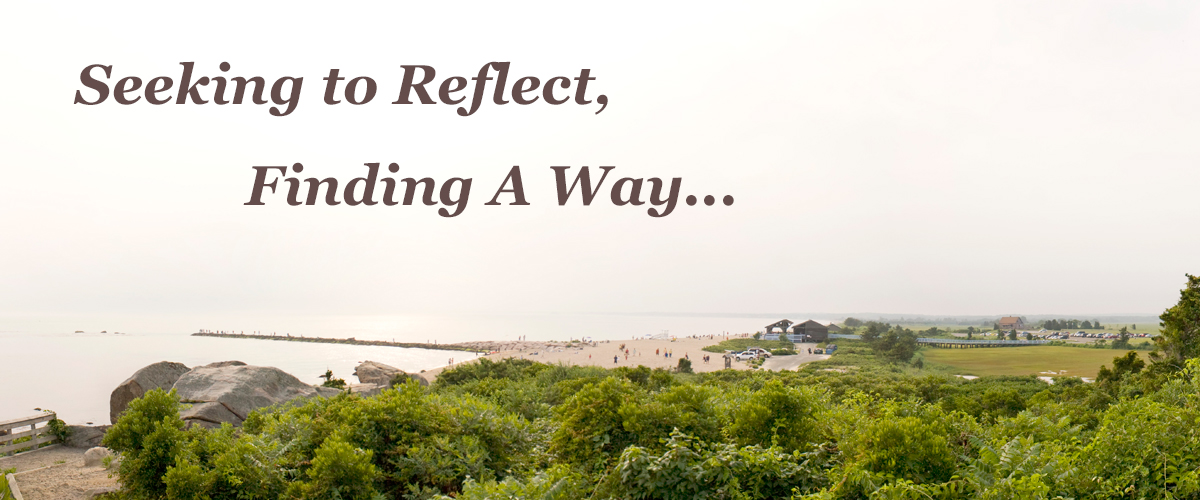 Seeking to Reflect, Finding a Way
